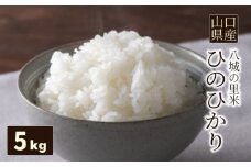 【先行予約】【1回お届け】ひのひかり 精米 5kg  