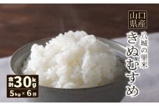 【先行予約】【定期便 6ヶ月】きぬむすめ 精米 5kg  計30kg
