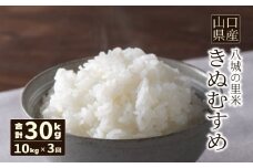 【先行予約】【定期便 3ヶ月】きぬむすめ 精米 10kg  合計30kg 令和7年度米