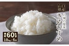 【先行予約】【定期便 6ヶ月】きぬむすめ 精米 10kg  合計60kg 令和7年度米