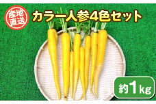 カラー人参4色セット 約 1kg 期間限定 ( 野菜 にんじん ニンジン キャロット おまかせ 4色 惣菜 煮物 炒め物 おかず 和食 洋食 根菜 家庭用 新鮮 旬 産地直送 豊浦町 川棚 下関 山口 )