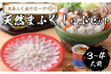 【 先行予約 】 ふぐ 天然 まふぐ しゃぶしゃぶ ふぐちり セット 3～4人前 冷凍【極み！黄金 ふぐ出汁 スープ 】 てっちり 真ふぐ 鍋 ふぐ鍋 海鮮鍋 雑炊 セット 下関 山口 【2026年3月より発送】