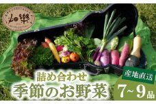旬 の 野菜 詰め合わせ セット 7 ~ 9 品 【2025年5月以降順次発送】 お楽しみ 産地直送 農家直送 季節 春 夏 秋 冬 露地野菜 やさい サラダ 農薬 化学肥料 不使用 下関 山口