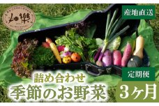 旬 の 野菜 詰め合わせ セット 3ヶ月 定期便 7 ~ 9 品【2025年5月以降順次発送】 お楽しみ 産地直送 農家直送 季節 春 夏 秋 冬 露地野菜 やさい サラダ 農薬 化学肥料 不使用 下関 山口