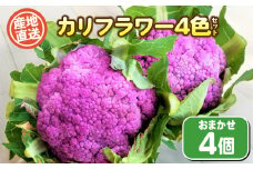 カリフラワー4色 セット 4個 ( 野菜 惣菜 おかず サラダ マリネ 和食 洋食 家庭用 新鮮 旬 産地直送 お楽しみ 豊浦町 川棚 下関 山口 )
