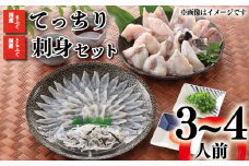 ふぐ 刺身 ふぐちり セット 3～4人前 冷凍 ( 高級魚 鮮魚 魚介 フグ刺し とらふぐ 国産養殖トラフグ 国産天然マフグ 本場 下関 ふぐ刺し 河豚 てっさ てっちり ポン酢 もみじ 出汁 付き ふぐ鍋 ふぐちり鍋 海鮮鍋 冬 旬 プレゼント ギフト お中元 お歳暮 ) 下関 山口 【1月15日以降順次発送】