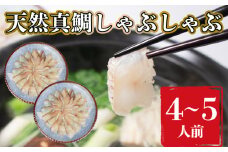 鯛 しゃぶしゃぶ セット 200g 煮 穴子 付き 鍋 鯛しゃぶ 冬 夏 高級魚 海鮮鍋 下関 山口