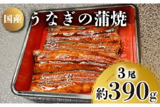 うなぎ の 蒲焼 3尾 約 390g 冷凍 関西風 鰻 魚 高級魚 ウナギ 国産 九州産 蒲焼き かばやき うな重 ひつまぶし タレ 山椒 浪花寿司 老舗 職人 おかず 夕飯 御祝 下関 山口
