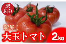 トマト 大玉 訳あり 2kg 野菜 産地直送 お試し 高糖度 リコピン ビタミンC 美容 ご自宅用 栄養 甘い おいしい 下関 山口 【2025年4月からの発送】【 期間限定 】