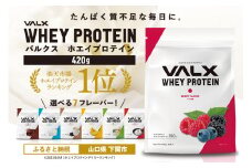 【ベリー風味】VALX ホエイプロテイン 420g