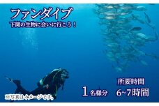 ファン ダイブ 2ダイブ 1名様分 ビーチ スポーツ マリンスポーツ アクティビティ 下関 山口