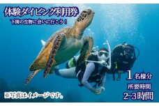 体験 ダイビング アクティビティ 利用券 チケット 1名様分 ビーチ スポーツ マリンスポーツ 下関 山口