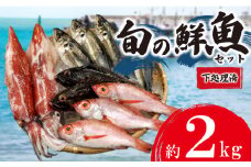 旬 の 鮮魚 ボックス 約 2kg 赤いか のどぐろ アジ  処理済み 詰め合わせ 天然 下処理 済み おまかせ お楽しみ 魚 魚介 旬 春 夏 秋 冬 中元 歳暮 年末年始 下関 山口