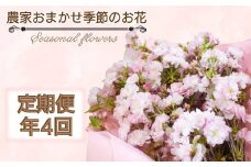 季節のお花 定期便 年4回 おまかせ 草花 誕生日 記念日 母の日 父の日 敬老の日 ギフト プレゼント お祝い 贈り物 贈答 インテリア おしゃれ かわいい 雑貨 飾り 鑑賞 旬 植物 春夏秋冬 季節 自宅用 下関 山口