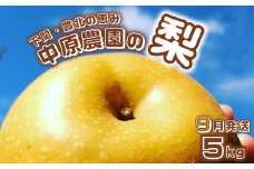 【先行予約】 梨 5kg 選べる セット 8玉 ～ 16玉 訳あり 幸水 豊水 新興 フルーツ 果物 なし 和梨 期間限定 中原農園 下関 山口 【 数量限定 】 【9月より発送】