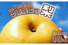 【先行予約】 梨 10kg 選べる セット 20玉 ～ 32玉 訳あり 幸水 豊水 新興 フルーツ 果物 なし 和梨 期間限定 中原農園 下関 山口 【 数量限定 】 【9月より発送】