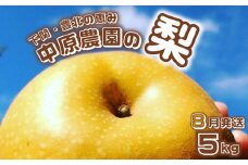 【先行予約】 梨 5kg 選べる セット 8玉 ～ 16玉 訳あり 幸水 豊水 新興 フルーツ 果物 なし 和梨 期間限定 中原農園 下関 山口 【 数量限定 】 【8月より発送】