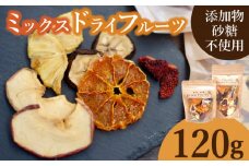 ドライフルーツ ミックス 120g 小分け 美容 女性 砂糖不使用 フルーツ 果物 オレンジ りんご 柿 ぶどう 葡萄 ブドウ キウイ 苺 いちご イチジク パイナップル バナナ 下関 山口