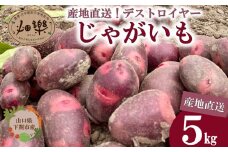 じゃがいも 5kg デストロイヤー 【2026年1月以降順次発送】 旬のお野菜お届け 産地直送 野菜 農家直送 季節限定 芋 いも 露地野菜 やさい サラダ コロッケ ジャーマンポテト じゃがバター ポテトサラダ 有機 季節の野菜 ～食と子供と未来のために～～食卓に笑顔と彩りを～ 農薬 化学肥料 不使用 下関 山口