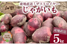 じゃがいも 5kg デストロイヤー 【2026年1月以降順次発送】 旬のお野菜お届け 産地直送 野菜 農家直送 季節限定 芋 いも 露地野菜 やさい サラダ コロッケ ジャーマンポテト じゃがバター ポテトサラダ 有機 季節の野菜 ～食と子供と未来のために～～食卓に笑顔と彩りを～ 農薬 化学肥料 不使用 下関 山口