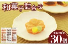 【先行予約】 訳あり ハヤシカネの和菓子詰合せ 30個 冷凍 季節の練切3種 ( 大容量 スイーツ おやつ デザート 和菓子 セット 山紅葉 秋の次郎 秋の実 練切和菓子 あんこ 白こしあん 餡 秋 スイーツ 菓子 おかし 生菓子 お茶菓子 季節の和菓子 食べ比べ 大容量スイーツ 冷凍スイーツ 和スイーツ ご褒美スイーツ 贈答 祝い ギフト プレゼント 家庭用  期間限定 ) 下関 山口