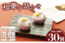 【先行予約】 訳あり ハヤシカネの和菓子詰合せ 30個 冷凍 季節の練切3種 ( 大容量 スイーツ おやつ デザート 和菓子 セット 鶴亀の舞 花菊 うさぎの月 練切和菓子 あんこ 白こしあん 餡 秋 スイーツ 菓子 おかし 生菓子 お茶菓子 季節の和菓子 食べ比べ 大容量スイーツ 冷凍スイーツ 和スイーツ ご褒美スイーツ 贈答 祝い ギフト プレゼント 家庭用 期間限定 ) 下関 山口