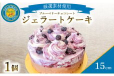 ジェラートケーキ 15cm ( アイスケーキ ジェラート ケーキ アイス アイスクリーム ブルーベリー チョコレート チョコ チョコケーキ マスカルポーネ スイーツ デザート フルーツ 季節 おまかせ ギフト 贈り物 プレゼント 誕生日 バースデー ) 下関市 山口