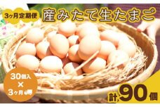 たまご 卵 定期便 3ヶ月分 30個 × 3ヶ月 計 90個  ( 26個 ＋ 割れ保障 4個 ) ×3ヶ月分 玉子 産みたて たまご 鶏卵 卵料理 生卵 玉子焼き 国産 玉子 新鮮 卵かけご飯 大容量 生 卵 鶏 天然 すき焼き 目玉 焼き おかず お弁当 下関 豊北  山口