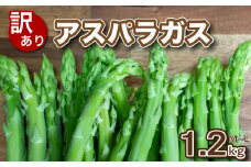 【 先行予約 】訳あり アスパラガス B品 1.2kg 朝採れ 大容量 アスパラ M~L 有機肥料使用 サイズ混合 訳あり セット SDGs フードロス 食品ロス 支援 期間 限定 野菜 新鮮 夕飯 おかず お弁当 新鮮アスパラ 下関 山口 【2025年7月より発送】
