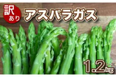 【 先行予約 】訳あり アスパラガス B品 1.2kg 朝採れ 大容量 アスパラ L~2L 有機肥料使用 サイズ混合 訳あり セット SDGs フードロス 食品ロス 支援 期間 限定 野菜 新鮮 夕飯 おかず お弁当 新鮮アスパラ 下関 山口 【2025年7月より発送】