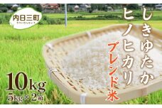 【令和7年度産 先行受付】 Wブレンド米 10kg （5kg×2袋） 山口県産 ブレンド米 銘柄米 数量限定 【3月18日以降のご入金分は2026年1月より順次発送】 