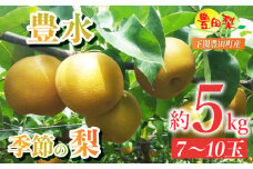 梨 5kg セット 7~10玉 大玉 なし 豊水 ほうすい 緩衝材 キャップ 付き フルーツ 季節 旬の 果物 期間 限定 9月 豊田の梨 豊田町 山口県産 下関 ギフト 贈答 夏 秋