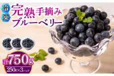 【先行予約受付】【数量限定】 冷凍 ブルーベリー 計 750g 手摘み 【2025年7月より順次発送】 ( 小分け フルーツ 果物 スイーツ デザート 国産 ベリー シャーベット アイス ジェラート ジャム パン パンケーキ ヨーグルト おやつ スムージー 朝食 無農薬 長期保存 ) 下関 山口
