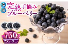 【先行予約受付】【数量限定】 冷凍 ブルーベリー 計 750g 手摘み 【2026年7月より順次発送】 ( 小分け フルーツ 果物 スイーツ デザート 国産 ベリー シャーベット アイス ジェラート ジャム パン パンケーキ ヨーグルト おやつ スムージー 朝食 無農薬 長期保存 ) 下関 山口
