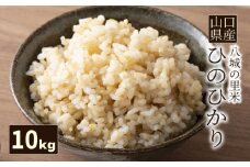 【先行予約】【1回お届け】ひのひかり 玄米 10kg  令和7年度米