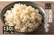 【先行予約】【定期便 3ヶ月】ひのひかり 玄米 10kg  合計30kg 令和7年度米