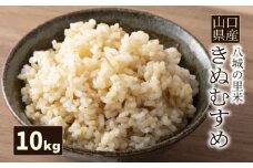 【先行予約】【1回お届け】きぬむすめ 玄米 10kg  令和7年度米