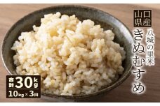 【先行予約】【定期便 3ヶ月】きぬむすめ 玄米 10kg  合計30kg 令和7年度米
