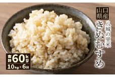 【先行予約】【定期便 6ヶ月】きぬむすめ 玄米 10kg  合計60kg 令和7年度米