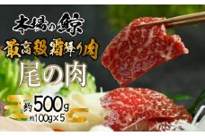 鯨 ( くじら ) 霜降り 肉 500g  冷凍 高級 おつまみ 刺身 刺し身 ユッケ カツ 竜田揚げ 揚げ物 本場 いさな 鯨 赤身肉 ブロック肉 自宅 自宅用 お中元 お歳暮 小分け 美容 ダイエット 高たんぱく 下関鯨屋日新丸 下関 山口