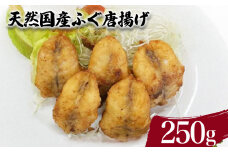 天然 国産 ふぐ から揚げ 250g ( 鮮魚 魚介 海鮮 フグ 河豚 海の幸 加工品 惣菜 唐揚げ お手軽 便利  簡単調理 揚げるだけ おかず ごはんのお供 ご飯 お米 夕食 おやつ おつまみ 酒 ビール ) 下関 山口
