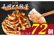 訳あり 長州どり餃子 72個 12個×6パック 冷凍 小分け 日指定可 大容量 ぎょうざ ギョウザ ギョーザ