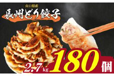 訳あり 長州どり餃子 180個 12個×15パック 冷凍 小分け 日指定可 大容量 ぎょうざ ギョウザ ギョーザ