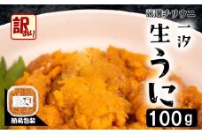 訳あり 大容量 生 ウニ 100g 一汐うに 生うに 生雲丹 雲丹 海鮮 魚介 新鮮 人気 父の日 母の日 中元 歳暮 年末 年始 ギフト プレゼント 自宅用 家用 感謝 高級 人気うに 塩ウニ ウニ丼 うに丼 大容量 理由あり わけあり うに甚 下関 山口