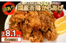 訳あり 唐揚げ 定期便 計 8.1kg 冷凍 からあげ 骨なし モモ ムネ 手羽  ( 6回 6ヶ月 隔月 真空パック 小分け 国産 若鶏 味 簡単調理 もも肉 胸肉 鶏もも 鶏むね 手羽先 手羽中 手羽元 惣菜 弁当 晩ごはん おかず 名物 肉特集 からあげ藤家 フライドチキン グルテンフリー ) 下関 山口