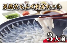 天然 とらふぐ 刺身 セット 3人前 冷凍 ふぐ刺し てっさ とらふぐ刺し とらふぐ刺身 天然ふぐ刺身 山賀 下関 山口