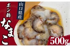 山口県産ポン酢なまこ 500g 冷凍 新鮮 赤なまこ ナマコ 高級 魚介 海鮮 酒 おつまみ 下関 山口