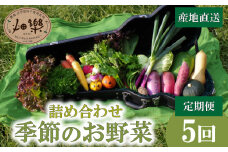 旬 の 野菜 詰め合わせ セット 5回 定期便 7 ~ 9 品【2025年5月以降順次発送】 お楽しみ 産地直送 農家直送 季節 春 夏 秋 冬 露地野菜 やさい サラダ 農薬 化学肥料 不使用 下関 山口