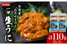 一汐 紫 生 うに ウニ 雲丹 ムラサキウニ 計110g 55g×2本 冷凍 瓶 ご飯のおとも 酒の肴 下関 山口