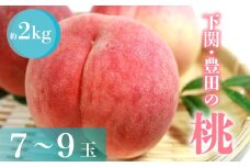 【 数量限定 】 旬 の 桃 約 2kg 7～9玉  L~3L フルーツ もも くだもの 果物 数量限定 期間 限定 ちよひめ 日川白鳳 あかつき 八幡白鳳 赤宝 なつき 下関 山口 【 期間限定 】